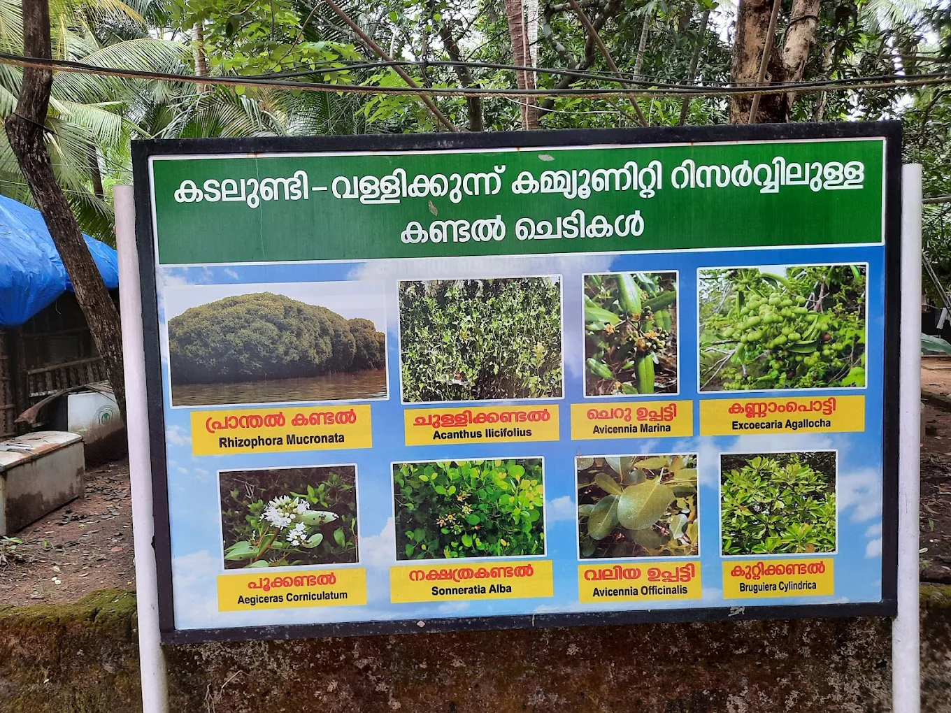 Kadalundi Bird Sanctuary